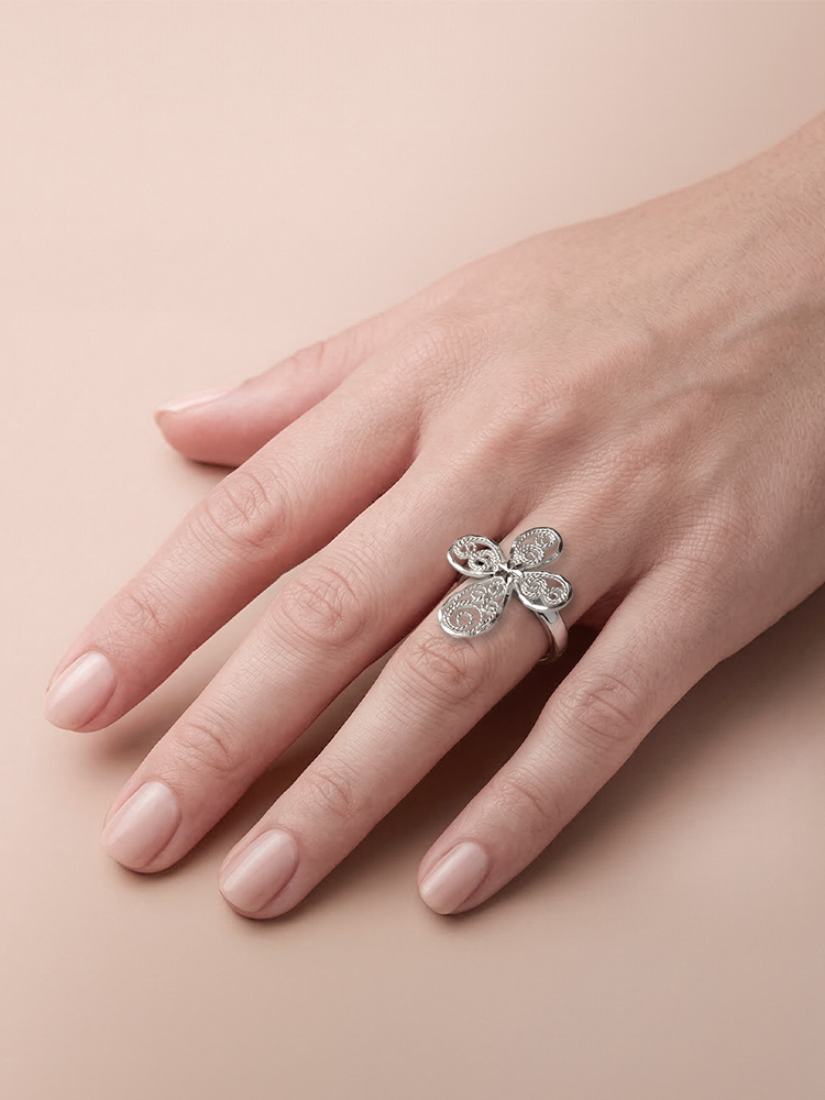 Anillos